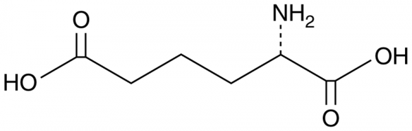 L-alpha-Aminoadipic Acid