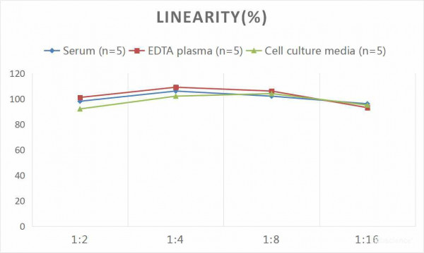 Human hs-CRP (high-sensitivity C-reactive protein) CLIA Kit