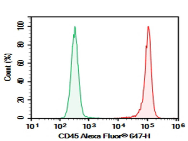 Purified Anti-Rat CD45 Antibody [OX-1]