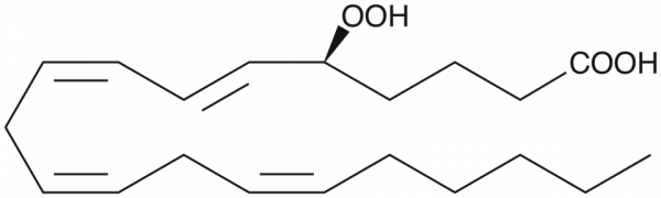 5(S)-HpETE