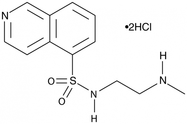 H-8 (hydrochloride)