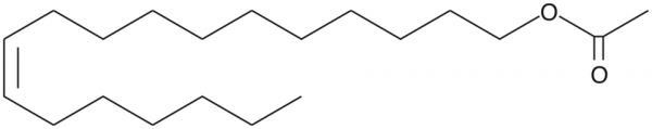 11(Z)-Vaccenyl Acetate