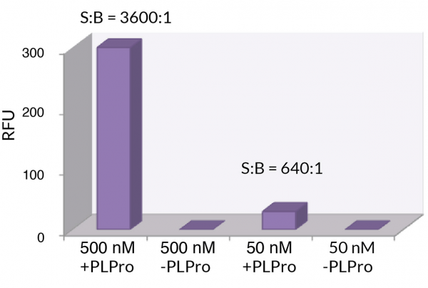 ISG15 (human) (rec.) (Rhodamine 110)