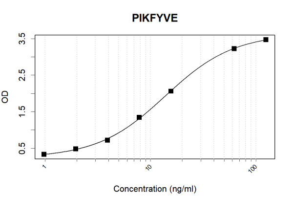 Anti-Human PIKFYVE Antibody Pair