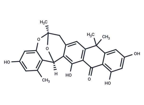 BE-24566B