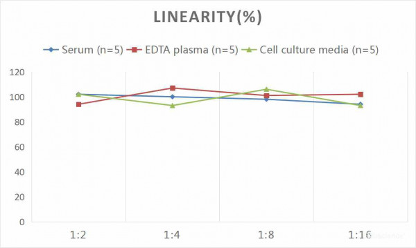 Human PDGF-BB (Platelet Derived Growth Factor-BB) CLIA Kit