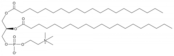 1,2-Diarachidoyl-sn-glycero-3-PC