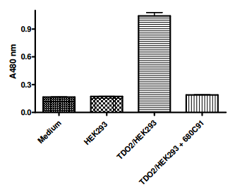 TDO Cell-Based Assay Kit