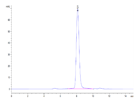 IL-18 R1/CD218a, His &amp; Avi, Human