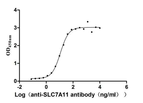 Anti-SLC7A11 Recombinant Monoclonal, clone 23H6