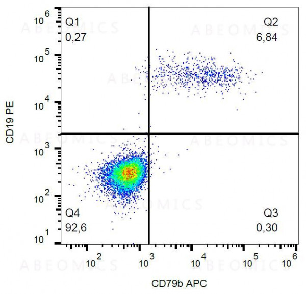 Anti-CD79b Monoclonal Antibody (Clone:CB3-1)-APC Conjugated
