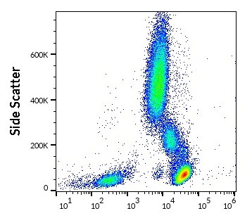 Anti-CD45, clone MEM-28 (PE)