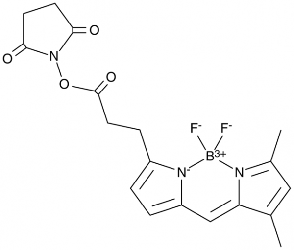 BODIPY FL succinimide ester