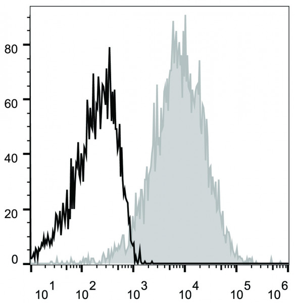 Anti-CD54 (mouse) (APC Conjugated), clone YN1/1.7.4