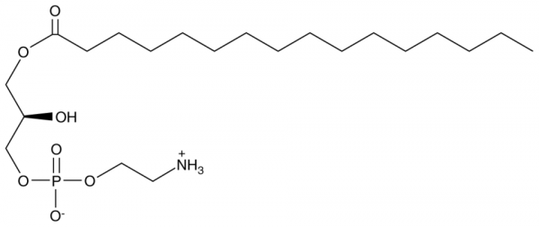 1-Palmitoyl-2-hydroxy-sn-glycero-3-PE