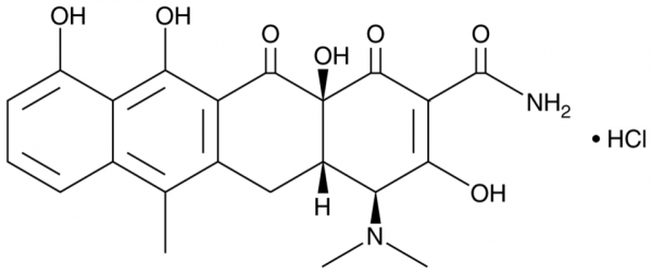 Anhydrotetracycline (hydrochloride)