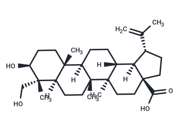 23-Hydroxybetulinic acid