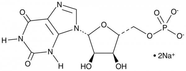 Xanthosine 5&#039;-monophosphate (sodium salt)
