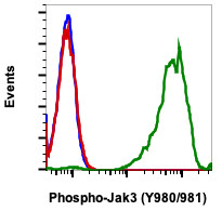 Anti-phospho-Jak3 (Tyr980/981) (Clone: E10) rabbit mAb