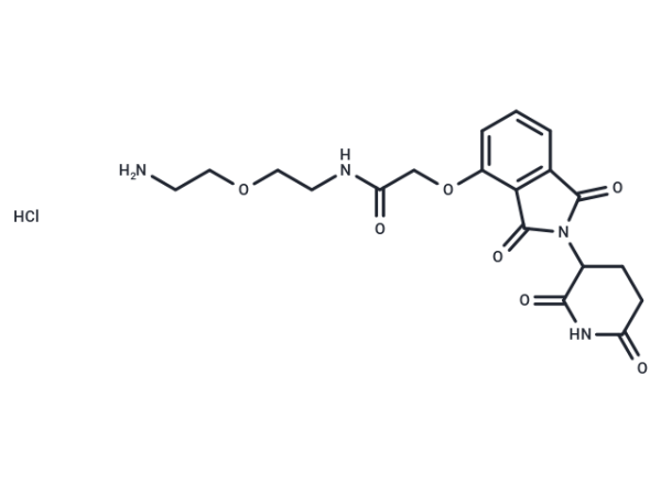 Thalidomide-O-amido-PEG-C2-NH2 hydrochloride