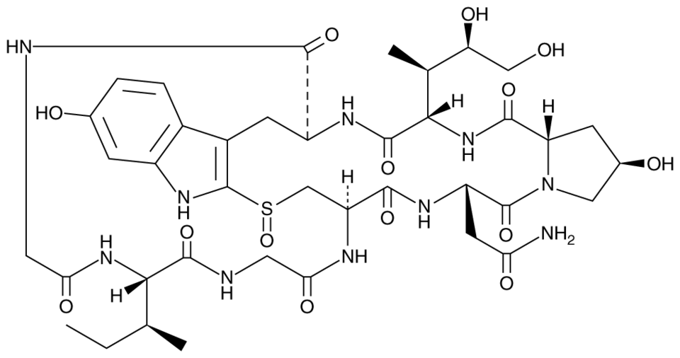alphaAmanitin CAS 23109059 Cayman Chemical