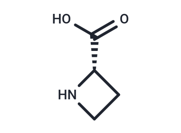 L-Azetidine-2-carboxylic acid