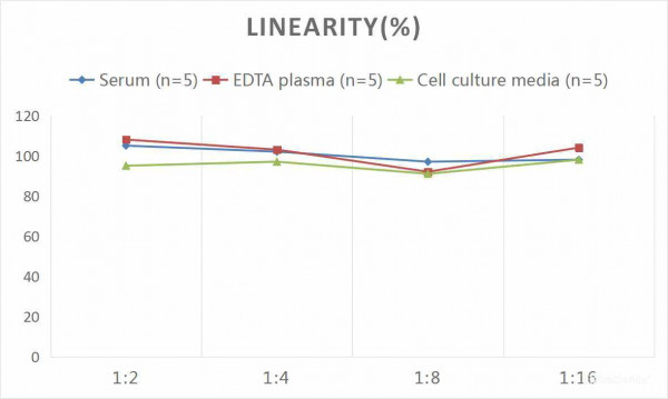 Human MMP-9 (Matrix Metalloproteinase 9) CLIA Kit