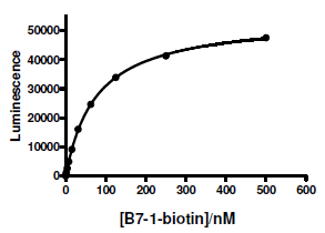 PD-L1:B7-1[Biotinylated] Inhibitor Screening Assay Kit