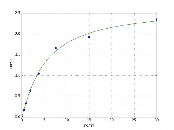 Mouse GSK3ß(Glycogen synthase kinase-3 beta) ELISA Kit