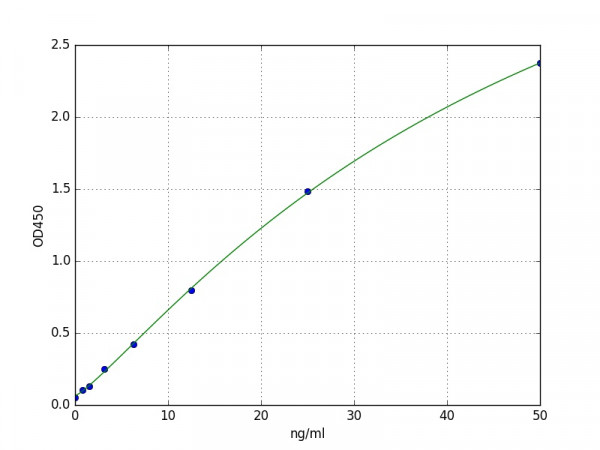 Human ACE / Angiotensin Converting Enzyme 1 ELISA Kit