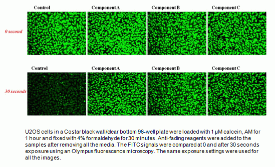 FluoroQuest(TM)Anti-fading Kit I *Optimized for Slide Imaging*