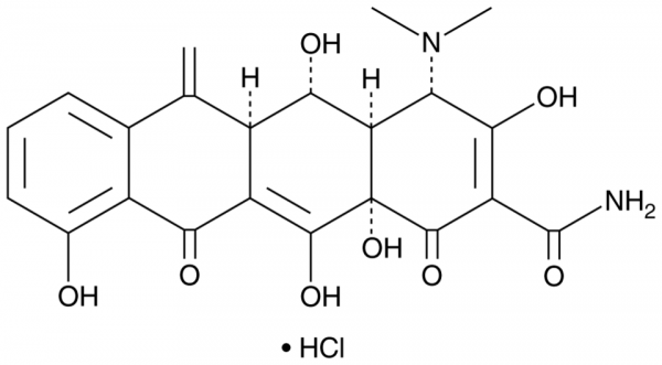 Methacycline (hydrochloride)