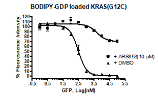 A KRAS (G12C), Isoform A, BODIPY-GDP Loaded, His-tag