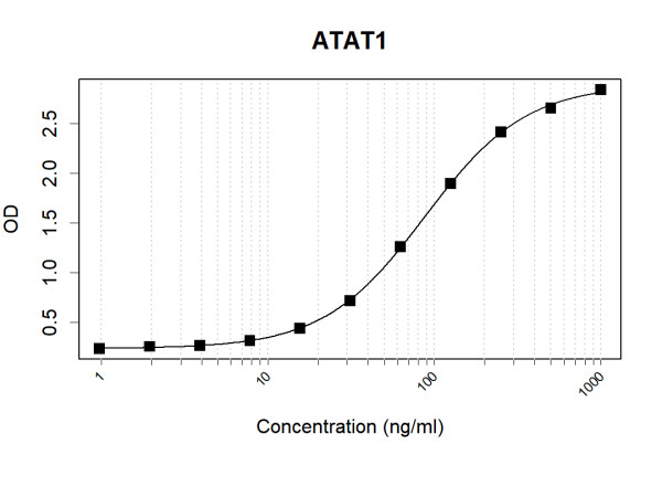 Anti-Human ATAT1 Antibody Pair
