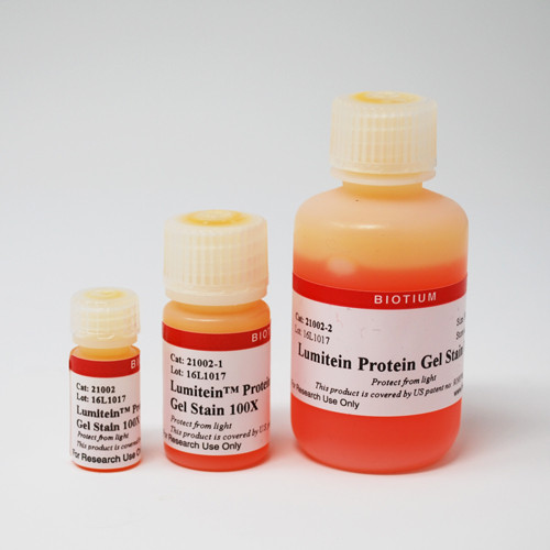 Lumitein(TM) PROTEIN GEL STAIN, 1X
