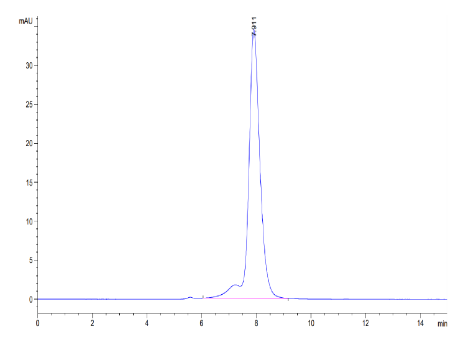 VSTM5 hFc Chimera, Human