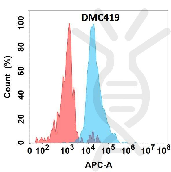 Anti-IL-6 antibody(DMC419), IgG1 Chimeric mAb
