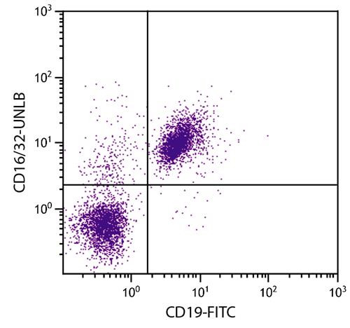 Anti-CD16/32, clone 93