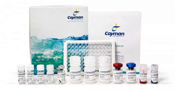 Cayman-Estradiol-Elisa-Kit