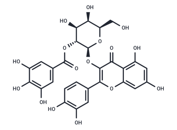 2"-O-Galloylhyperin