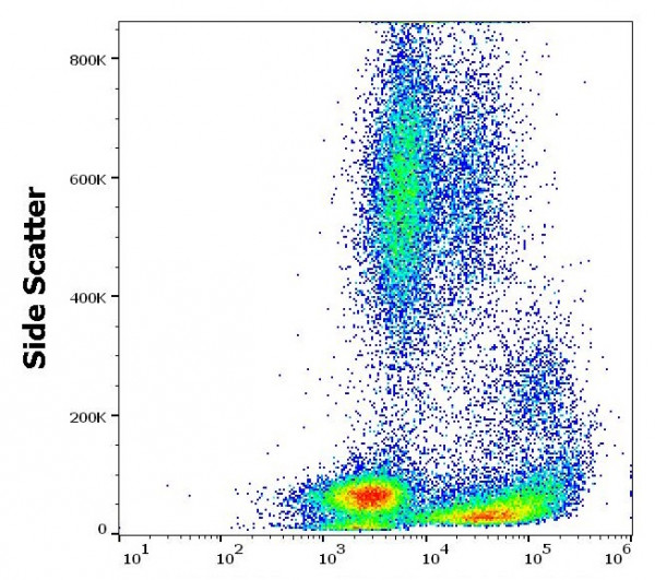 Anti-CD62P / P-selectin, clone AK4