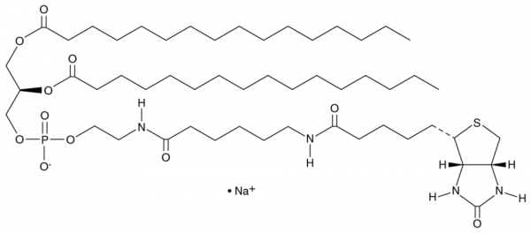 1,2-Dipalmitoyl-sn-glycero-3-PE-N-(cap biotin) (sodium salt)