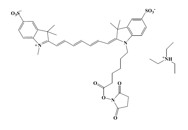 Sulfo-Cyanine 7 NHS ester [equivalent to Cy7(R) NHS ester]