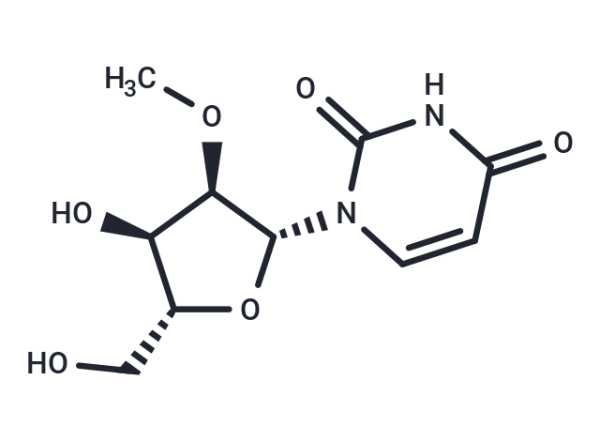2&#039;-O-Methyluridine