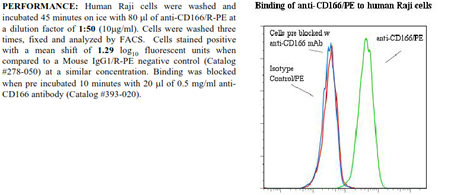 Anti-CD166 (human), clone 3A6, R-PE conjugated