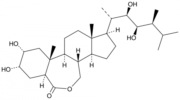 Brassinolide