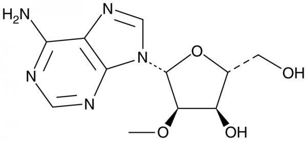 2&#039;-O-Methyladenosine