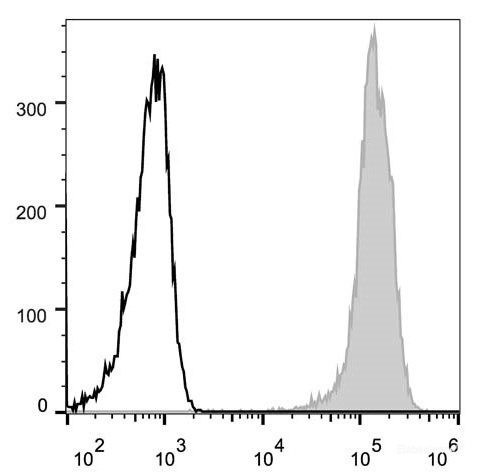 Anti-Mouse/Human CD44 (AF488 Conjugated)[IM7], clone IM7