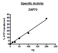 ZAP70, active human recombinant protein