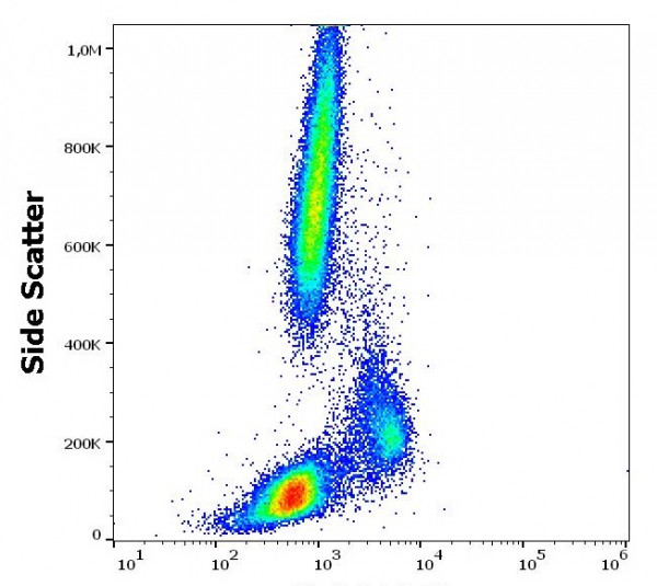 Anti-CD86, clone BU63 (FITC)